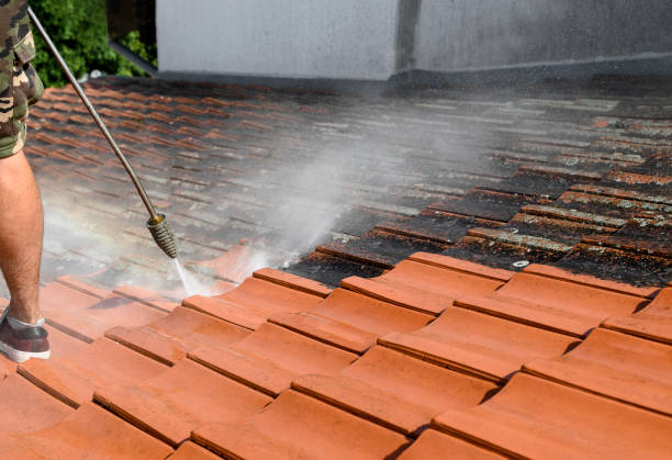 Best Exterior Home Cleaning  in Purdy, MO